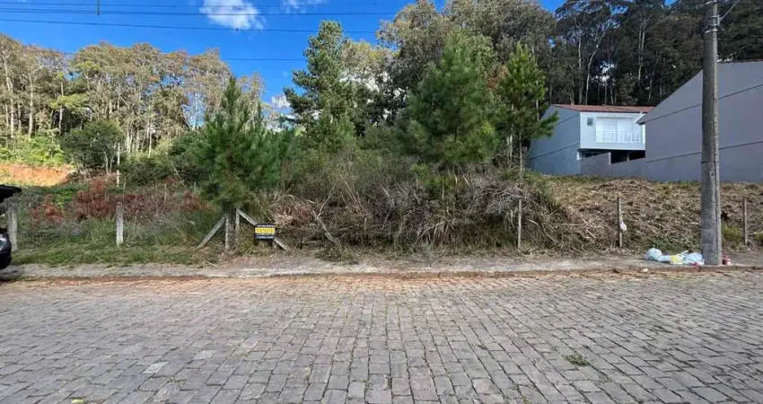 Terreno à venda na Caetano Betega, Colina Sorriso, Caxias do Sul