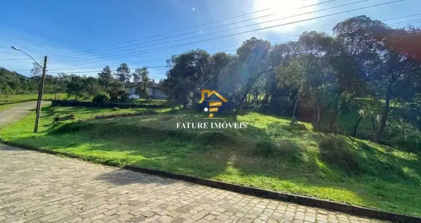 Terreno à venda na Estrada Municipal Vereador Vicente Menezes, Linha 40, Caxias do Sul