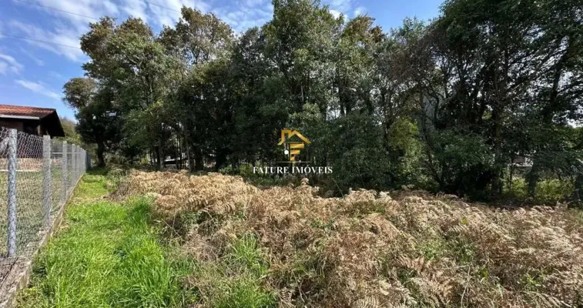 Terreno à venda na Cometa, 63, São Luiz, Caxias do Sul