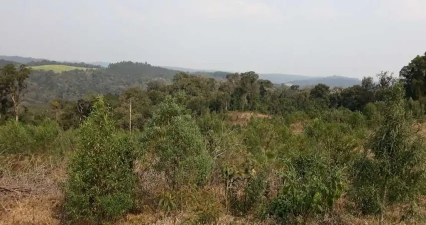 TERRENO RURAL COM 152.369,59m² LOCALIZADO EM SÃO BENTO DO SUL-SC