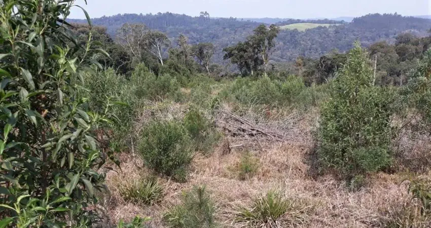Terreno rural com 152.369,59m² localizado em são bento do sul-sc
