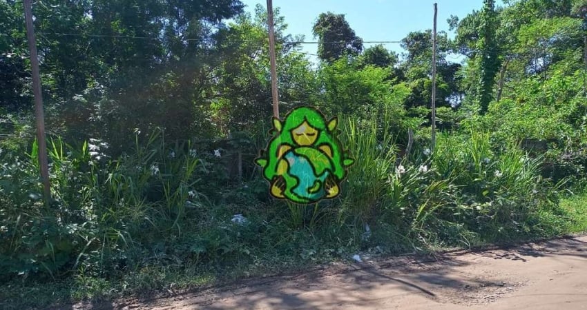 Excelente Terreno à Venda, na Praia do Massaguaçu, Caraguatatuba.