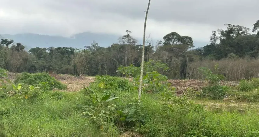 Área à venda, Praia da Baleia, Camburi, São Sebastião, SP.