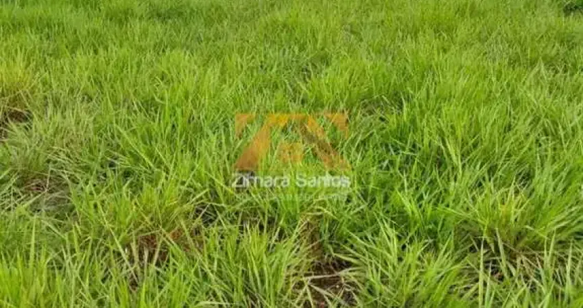 Chácara / sítio com 1 quarto à venda na Fazenda em Piçarra PA, 1, Centro, Piçarra