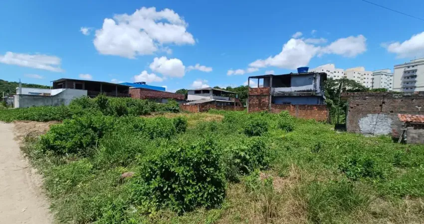 Terreno para venda tem 200 metros quadrados em Garapu - Cabo de Santo Agostinho - PE