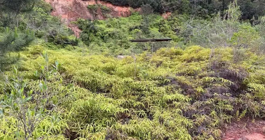Terreno à venda no Centro, Santo Amaro da Imperatriz 