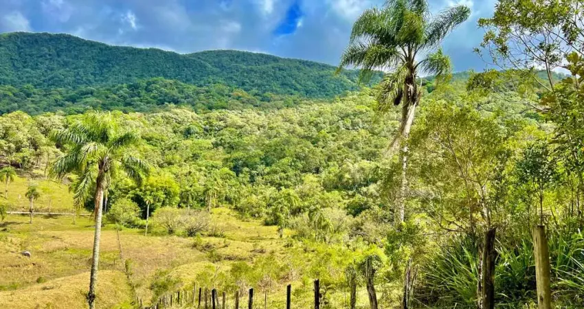 Chácara / sítio à venda na Vila Doze, Antônio Carlos 