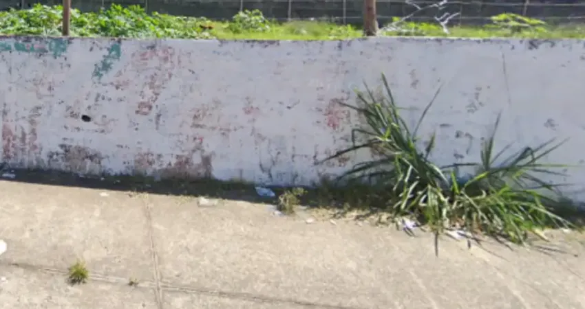 terreno padrão de 3.977 m² está à venda por R$ 17.000.000