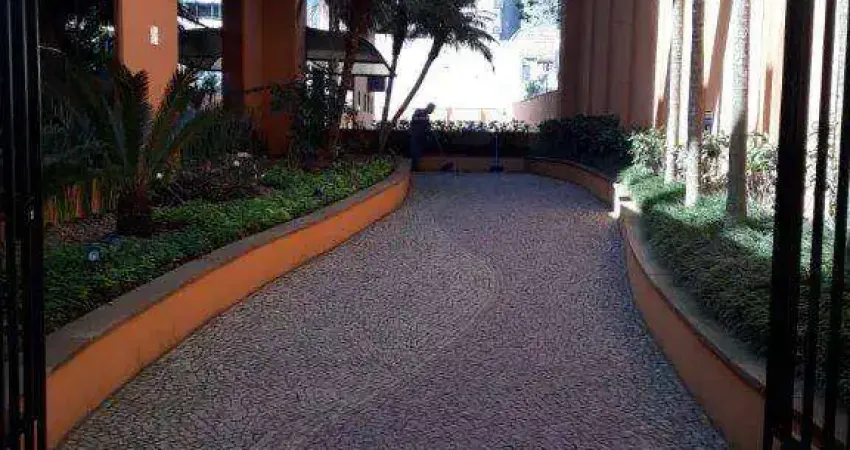 Pavimento comercial no Edifício Internet Canter na Rua Deputado Lacerda Franco região nobre de Pinheiros, medindo 265 m2 com 10 salas 6 banheiros e 8