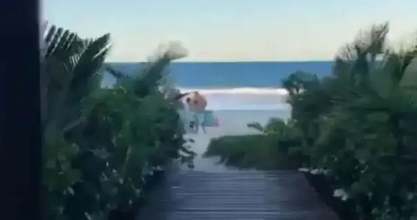 Apartamento a venda na rua das gaivotas com escritura pública