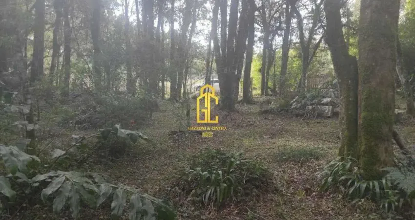 Terreno à venda no bairro Ana Rech em Caxias do Sul/RS