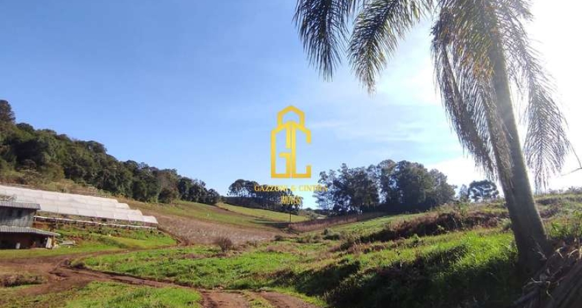Chácara à venda no bairro Santa Lúcia do Piaí - Caxias do Sul/RS