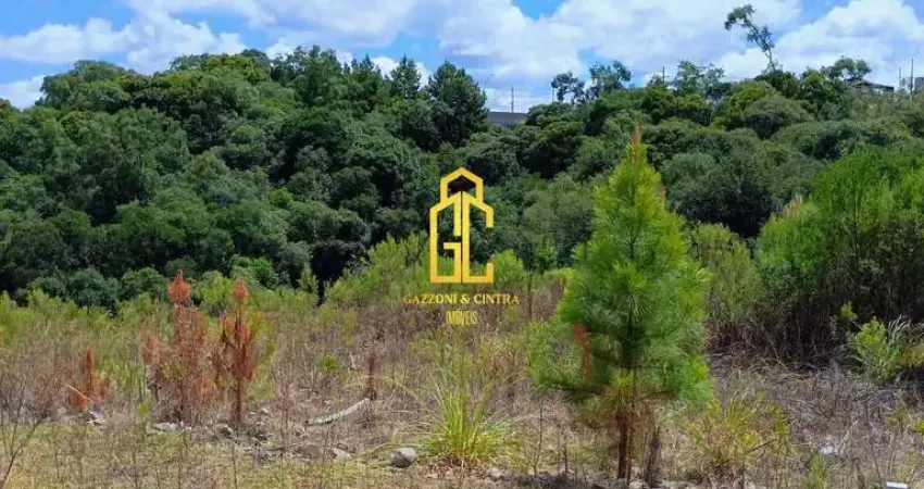 Terreno à venda no bairro São Giácomo - Caxias do Sul/RS