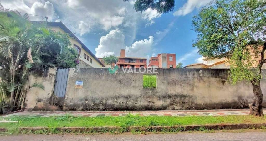 Terreno à venda na Rua Péricles Vieira de Mendonça, Belvedere, Belo Horizonte