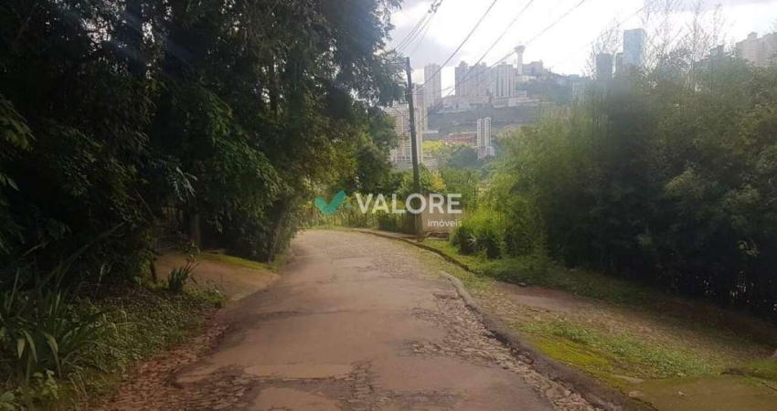 Lote à venda no Bairro Vila da Serra.