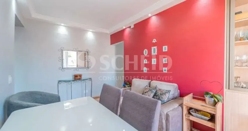 Apartamento à venda reformado com 2 quartos, sendo 1 suíte na Vila Santa Catarina