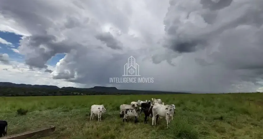 Fazenda à venda, ZONA RURAL,localizado em  Poxoréu-MT com  1.610 Hectares.