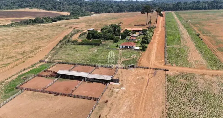 Chácara / sítio com 4 quartos à venda na Fazenda localizada a 70km da cidade de Colíder, Zona Rural, Colíder
