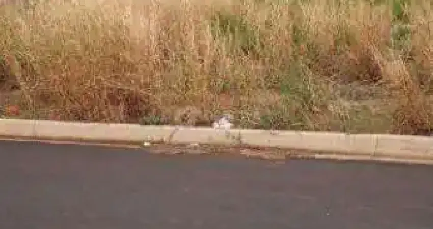 Terreno à venda no Novo Mundo, Uberlândia 