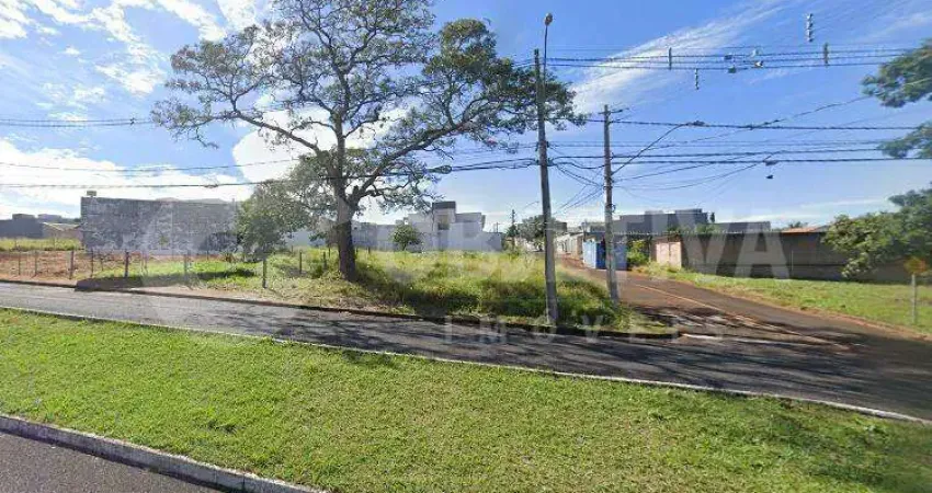 Terreno Misto no Bairro Bosque dos Buritis Em Uberlândia - Infraestrutura Completa e Possibilidades Residenciais e Comerciais