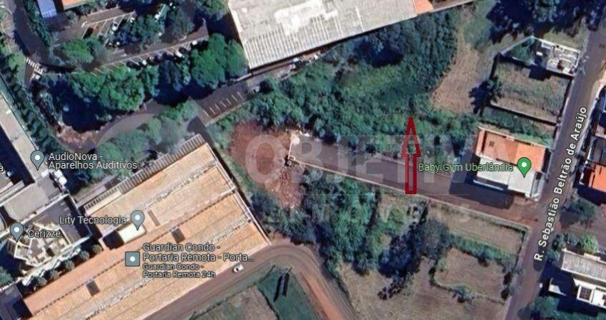 Terreno à venda no Vigilato Pereira, Uberlândia 