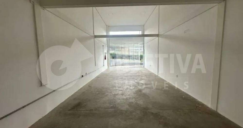 Loja para aluguel, 1 vaga, VIGILATO PEREIRA - UBERLANDIA/MG