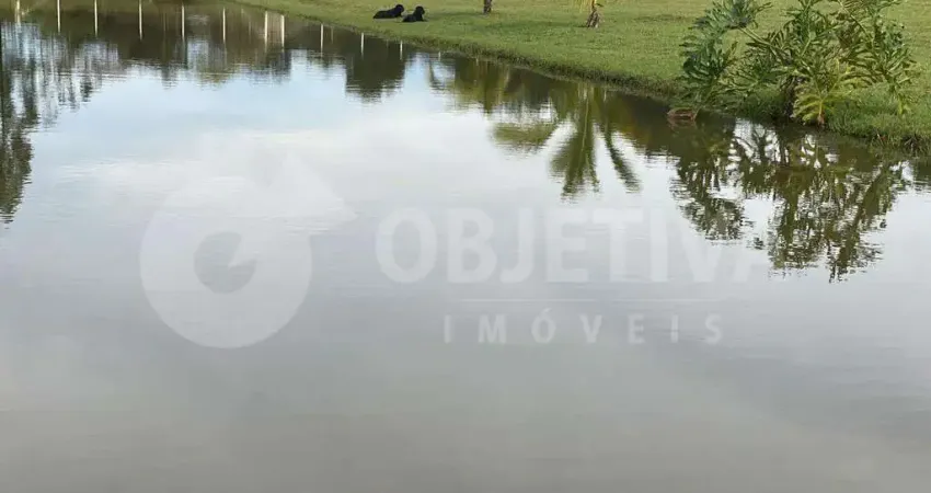Fazenda à venda, 2 quartos, 1 suíte, 22 vagas, ZONA RURAL - UBERLANDIA/MG