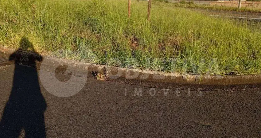 Terreno à venda no Shopping Park, Uberlândia 