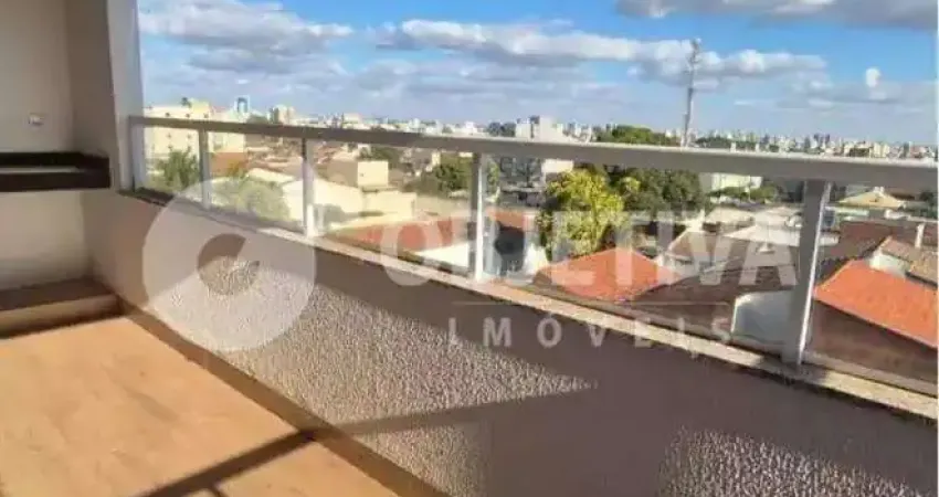 Apartamento à venda, 2 quartos, 1 suíte, 1 vaga, brasil - uberlandia/mg