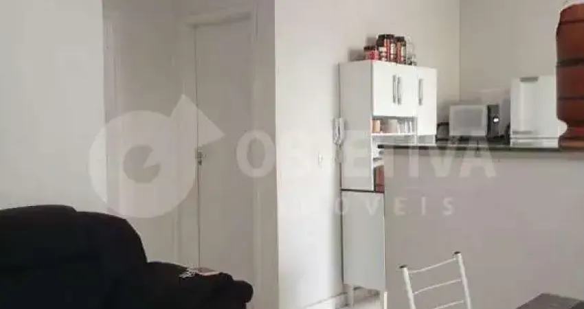Apartamento à venda, 2 quartos, 1 vaga, alto umuarama - uberlandia/mg