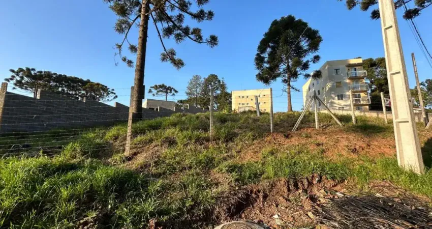 Excelente terreno  bem localizado ZUD 4 - Osasco - Colombo - PR.