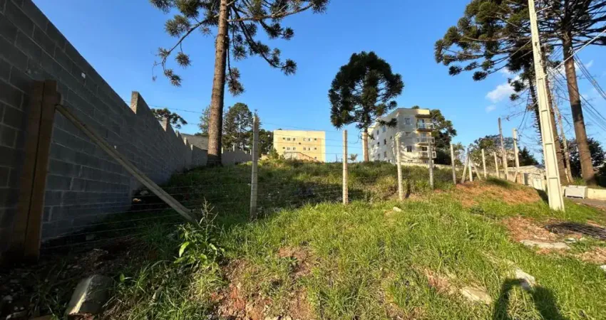 Excelente terreno  bem localizado ZUD 4 - Osasco - Colombo - PR.