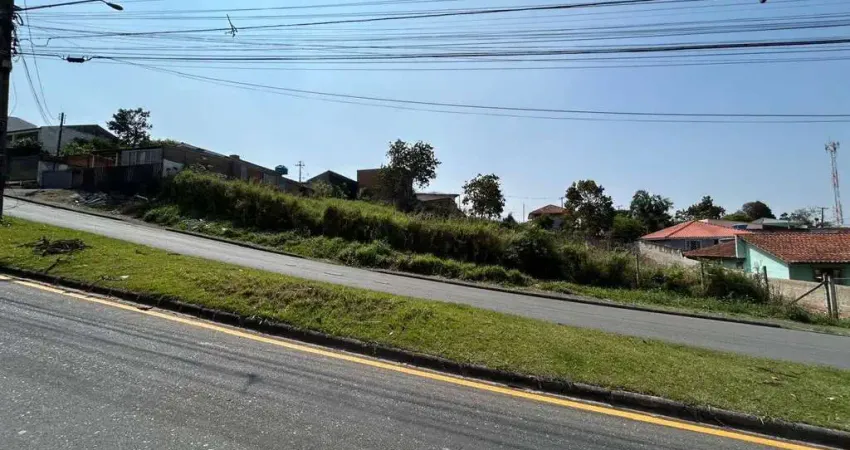 Terreno comercial à venda na Avenida Portugal, 397, Guarani, Colombo