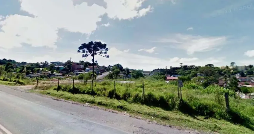 Terreno comercial para alugar na Rodovia do Contorno Norte, 443, Roça Grande, Colombo