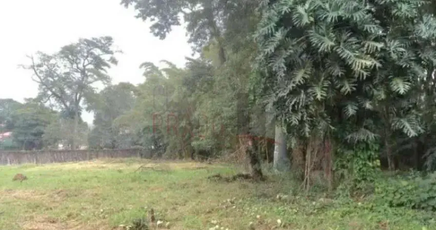 Terreno comercial à venda na Cidade Dutra, São Paulo