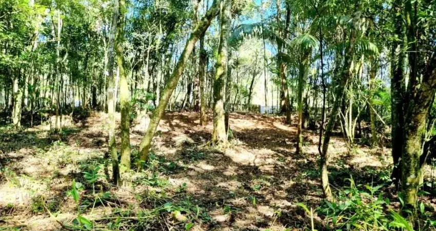 Terreno à venda na Princesa Leopoldina, 879, Caldas da Imperatriz, Santo Amaro da Imperatriz