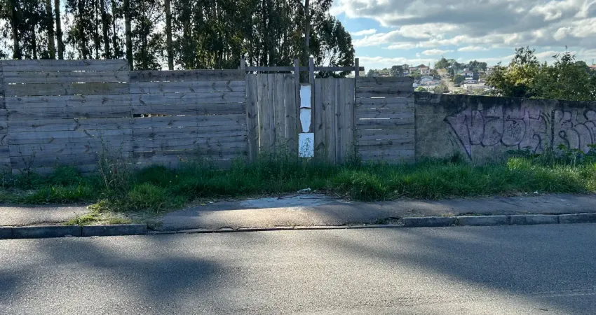 Terreno à venda na Rua Pasteur, 358, Guarani, Colombo