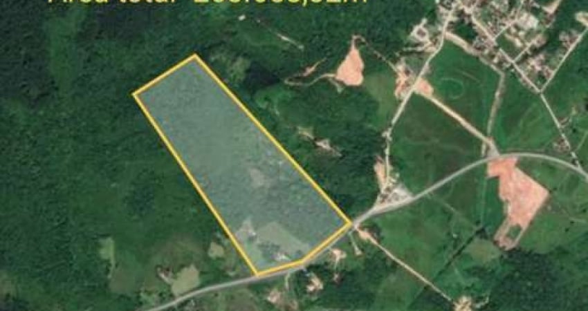 ÁREA RETROPORTUÁRIA DE FRENTE PARA RODOVIA SC-415, A VENDA EM ITAPOÁ-SC