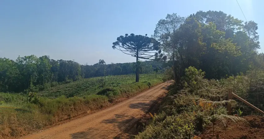 Área 40.890 m2 frente para rodovia pr 090 interior de campo largo frente para rodovia