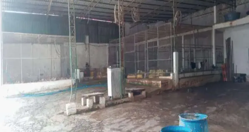 Galpão para Locação em São João de Meriti, Jardim Meriti, 3 banheiros, 1 vaga