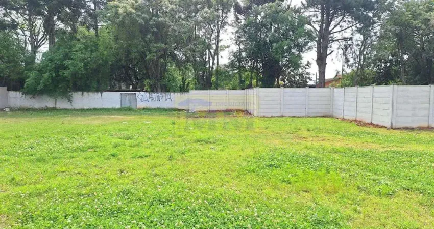 Terreno à venda na Rua Carlos Pereira Canani, 307, Vargem Grande, Pinhais