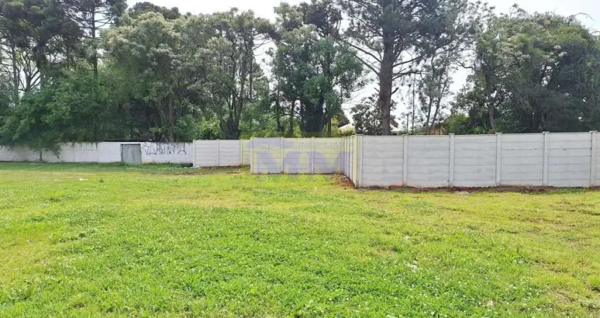 Terreno à venda na Rua Carlos Pereira Canani, 307, Vargem Grande, Pinhais