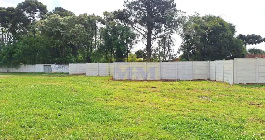 Terreno à venda na Rua Carlos Pereira Canani, 307, Vargem Grande, Pinhais