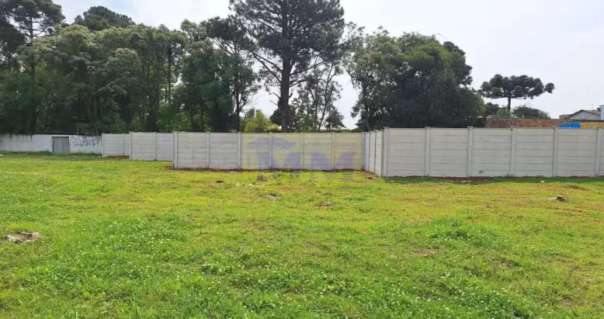 Terreno à venda na Rua Carlos Pereira Canani, 307, Vargem Grande, Pinhais