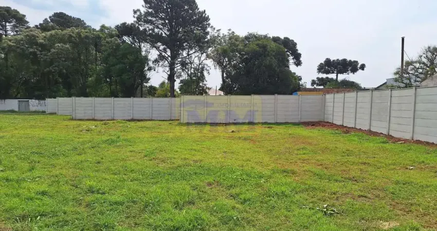 Terreno à venda na Rua Carlos Pereira Canani, 307, Vargem Grande, Pinhais