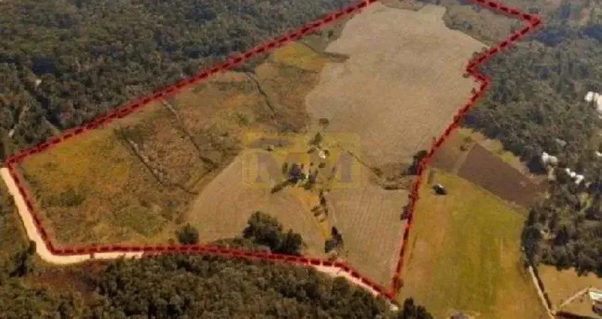 Terreno à venda Araçatuba Campina Grande do Sul/PR
