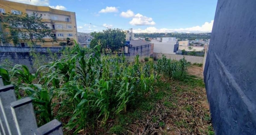 Terreno comercial à venda na Avenida Jacob Macanhan, 3796, Jardim Cláudia, Pinhais