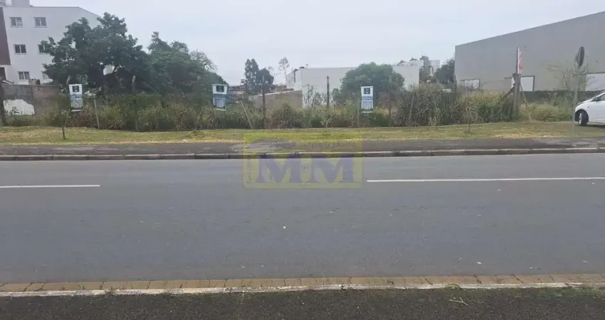 Terreno à venda na Rua Vinte e Quatro de Maio, 220, Centro, Pinhais