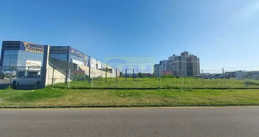 Terreno em localização privilegiada na rodovia joão leopoldo jacomel - pinhais