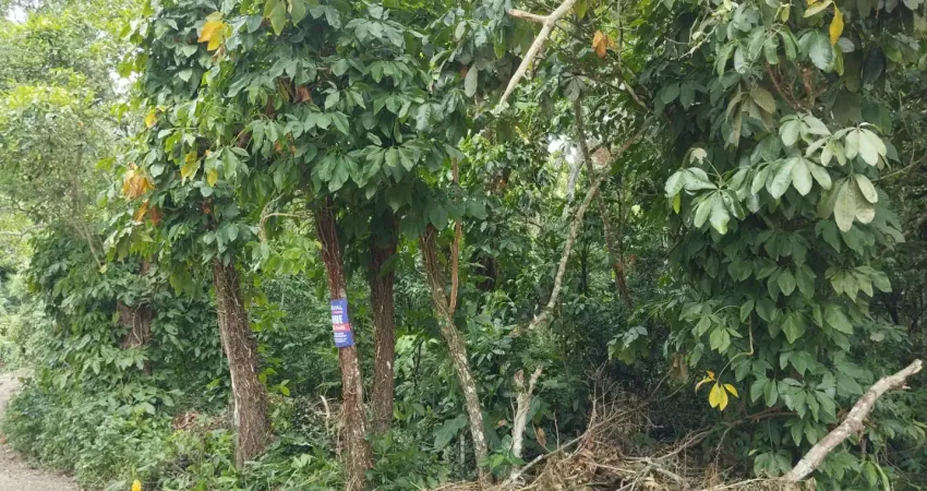 Excelente oportunidade para quem busca espaço, tranquilidade e natureza!